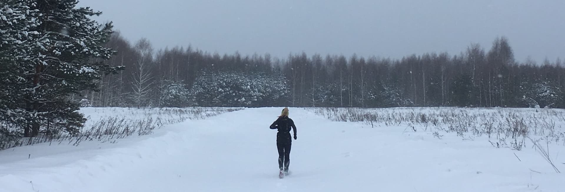 Поле с одуванчиками